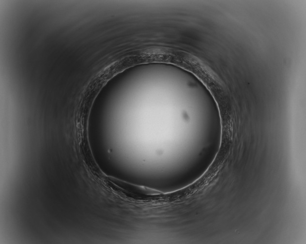 X0000097820821200803201435