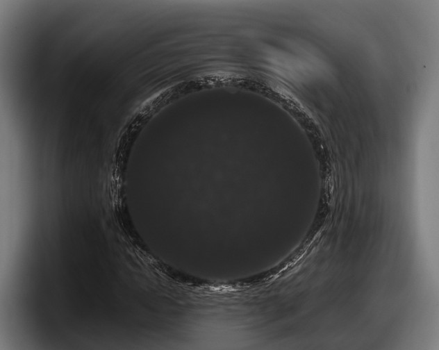 X0000097820822200803201435