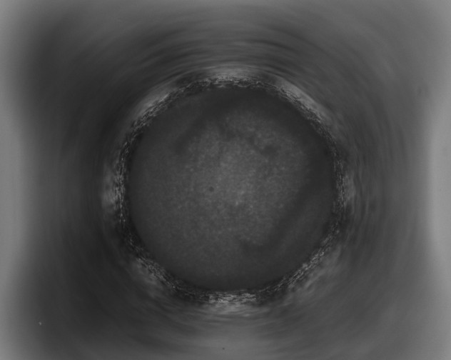 X0000097820824200803201436