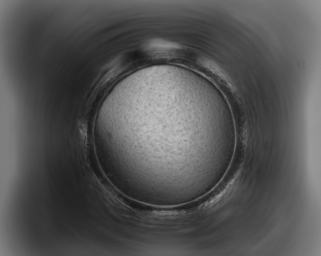 X0000097820825200803201436