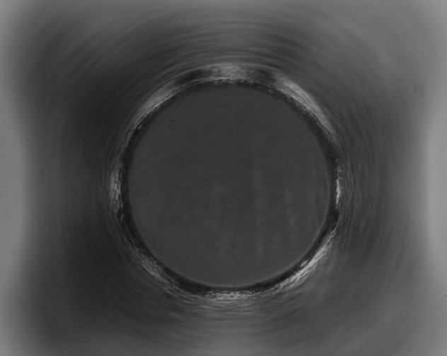 X0000097820826200803201436