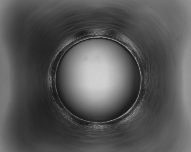 X0000097820827200803201436