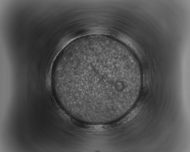 X0000097820828200803201436