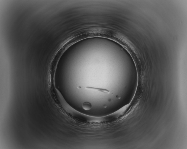 X0000097820829200803201436