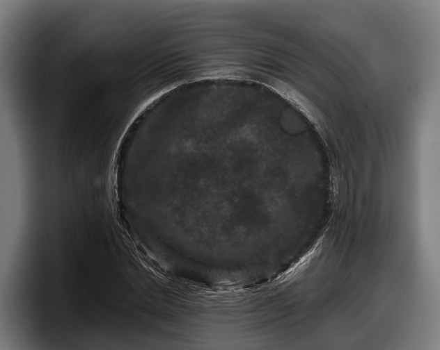 X0000097820830200803201436