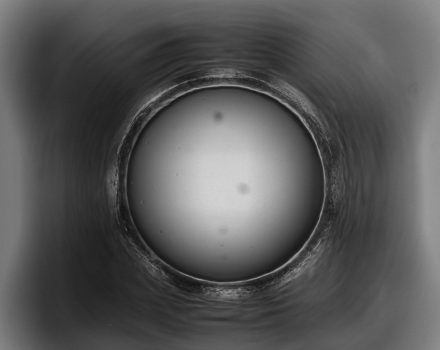 X0000097820831200803201436