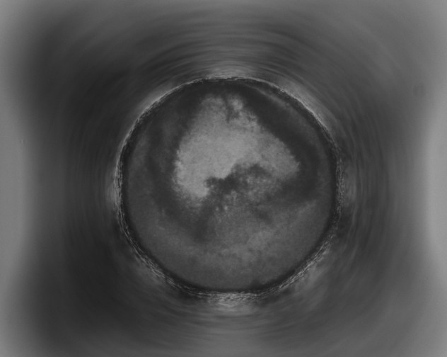 X0000097820832200803201436