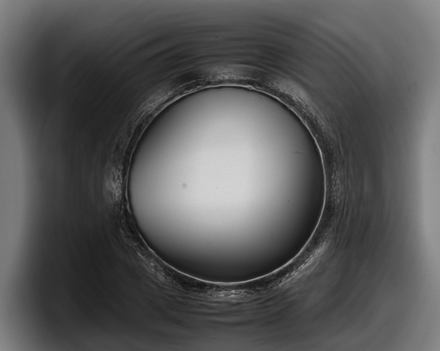 X0000097820833200803201436