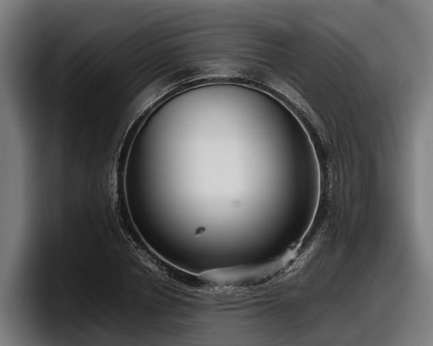 X0000097820834200803201436