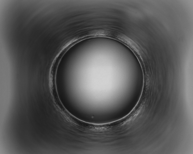 X0000097820835200803201436