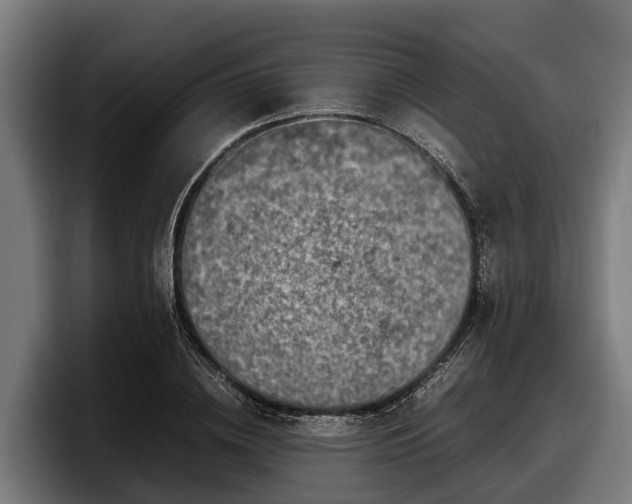 X0000097820836200803201436