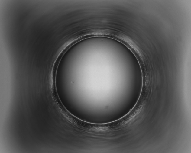 X0000097820837200803201436