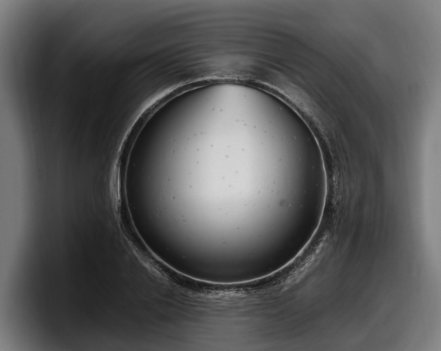 X0000097820838200803201436