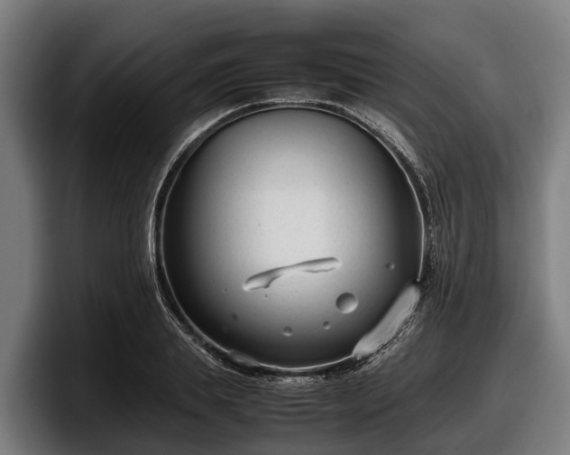 X0000097820839200803201436