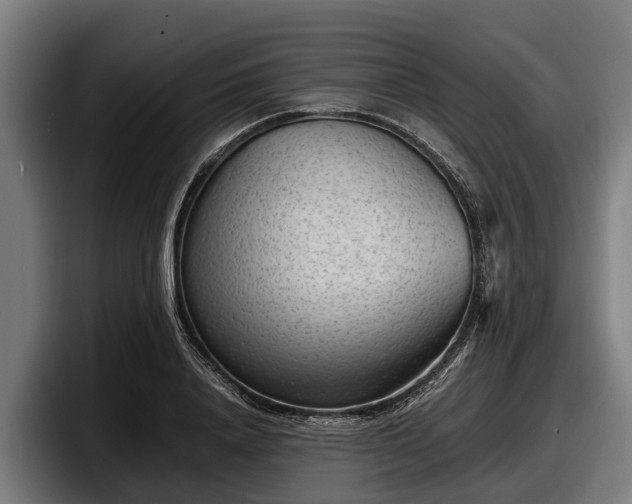 X0000097820840200803201436