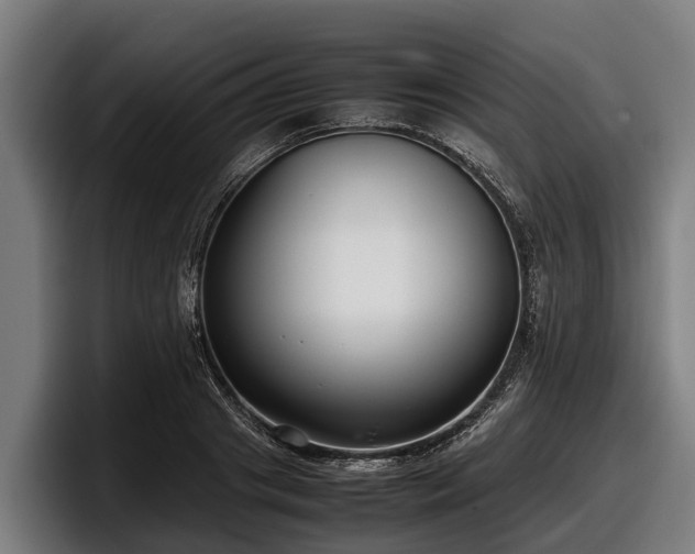 X0000097820841200803201436