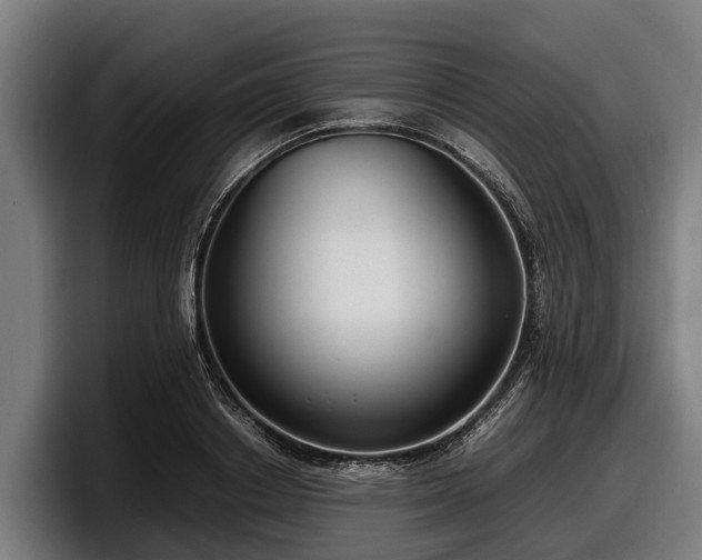 X0000097820842200803201436