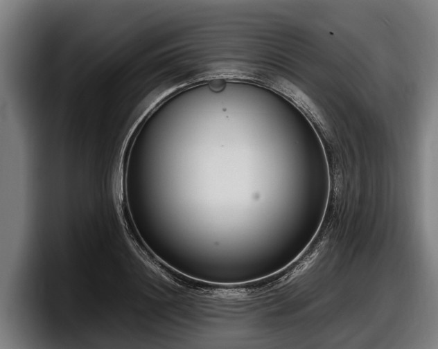 X0000097820844200803201436