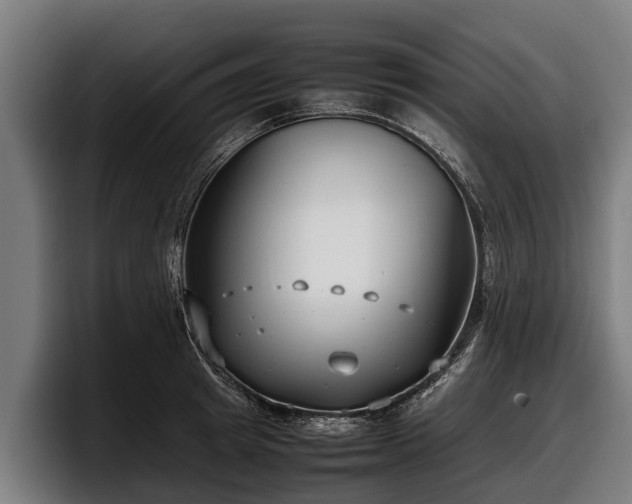 X0000097820849200803201436