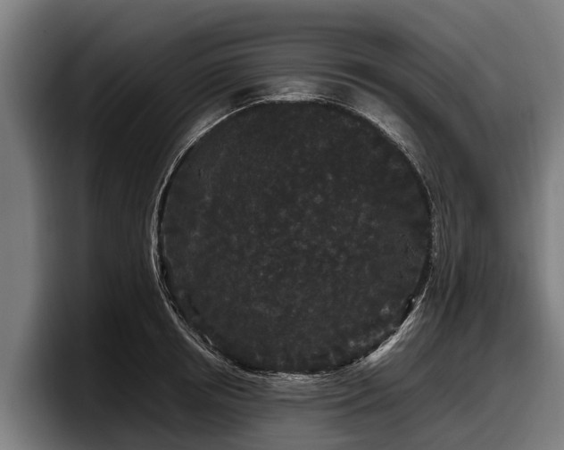 X0000097820850200803201436