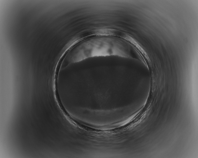 X0000097820853200803201436