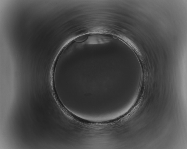 X0000097820854200803201436