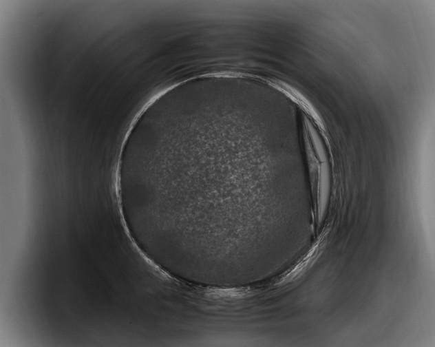 X0000097820855200803201436