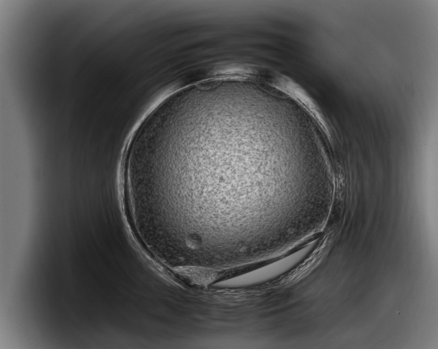 X0000097820859200803201436