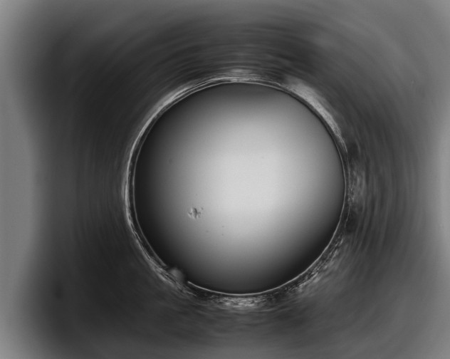 X0000097820861200803201436