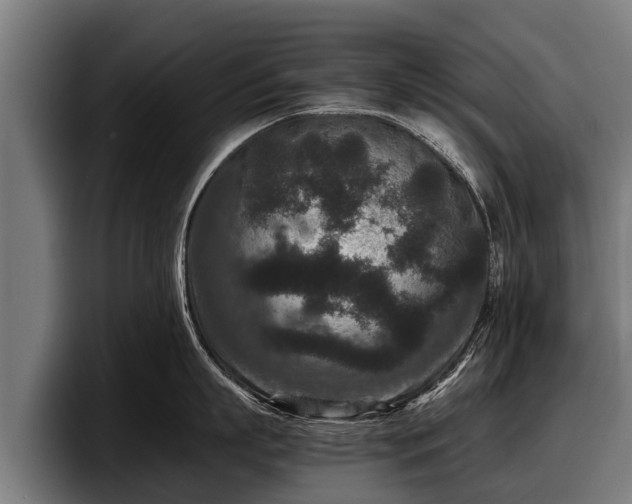 X0000097820863200803201436