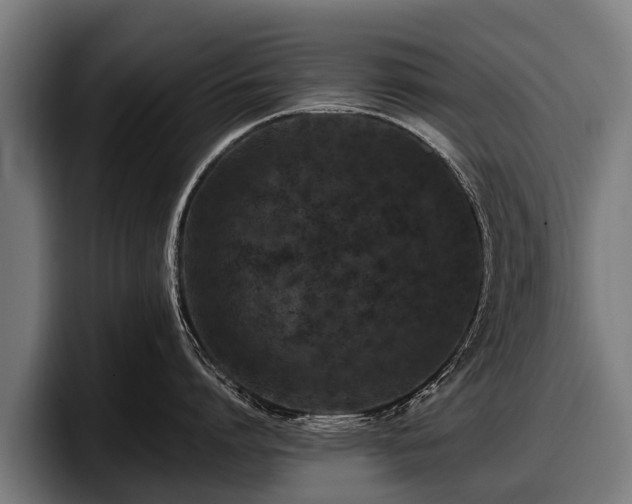 X0000097820864200803201436