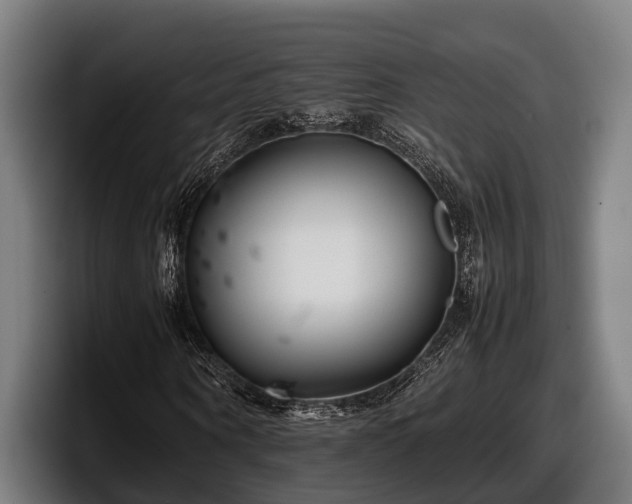 X0000097820866200803201435