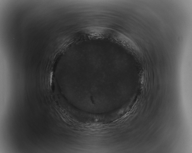 X0000097820868200803201435