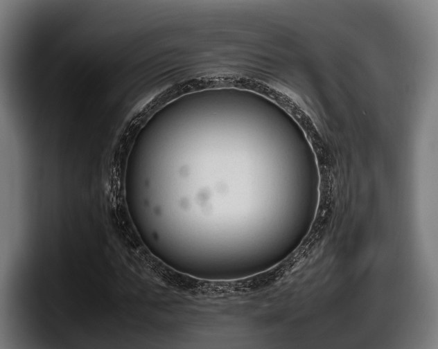 X0000097820871200803201435