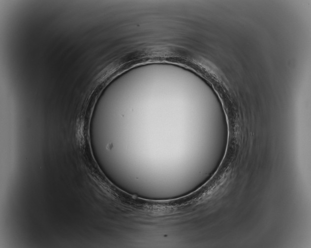 X0000097820873200803201435