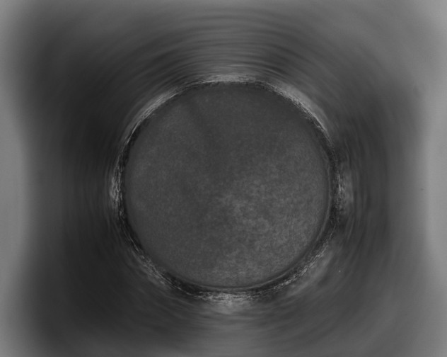 X0000097820874200803201435