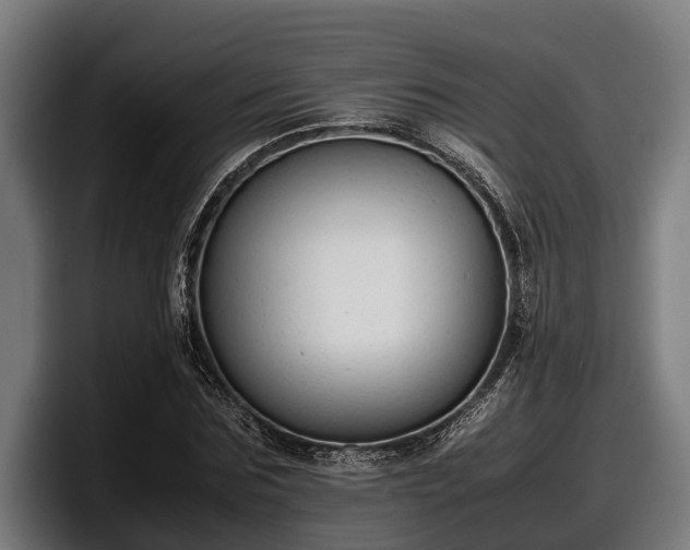 X0000097820875200803201435