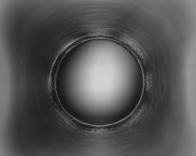 X0000097820876200803201435