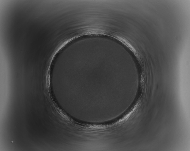 X0000097820877200803201435