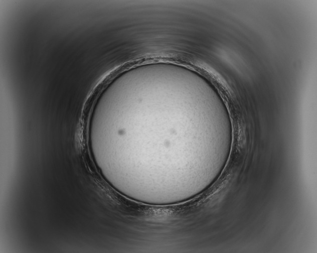 X0000097820878200803201435