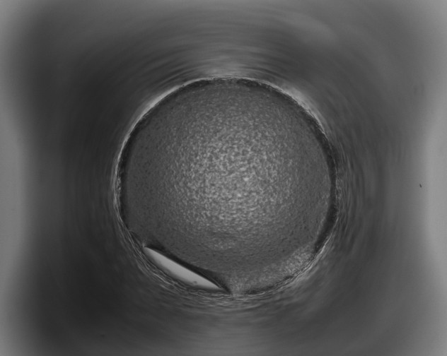 X0000097820879200803201435