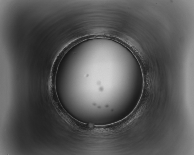 X0000097820880200803201435