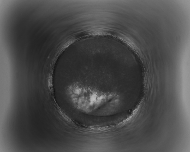 X0000097820881200803201435