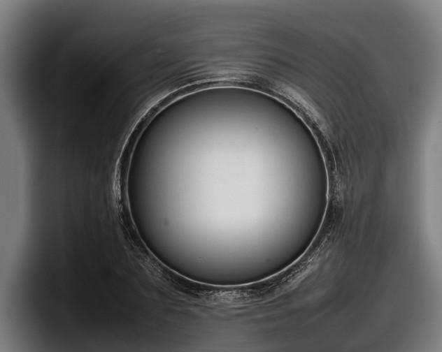 X0000097820883200803201435