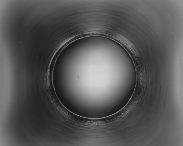 X0000097820884200803201435