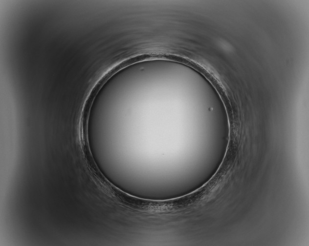 X0000097820887200803201435