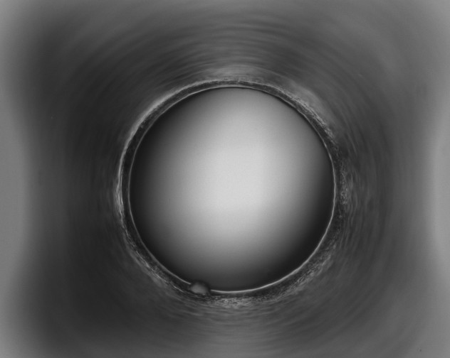 X0000097820888200803201435