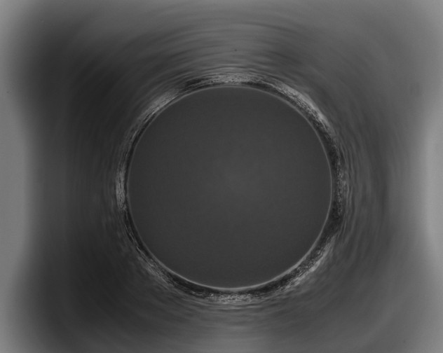 X0000097820889200803201435