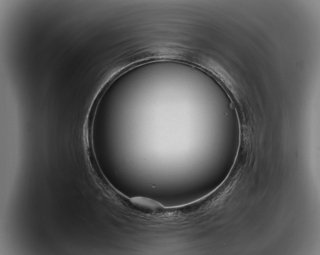 X0000097820891200803201435