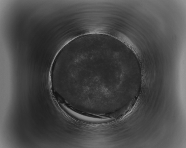 X0000097820892200803201435